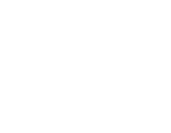 revv
